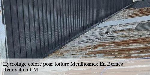 Hydrofuge colore pour toiture  menthonnex-en-bornes-74350 Rénovation CM