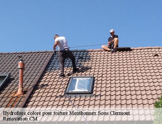 Hydrofuge colore pour toiture menthonnex-sous-clermont-74270 Rénovation CM