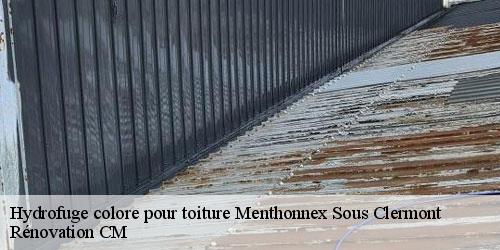 Hydrofuge colore pour toiture menthonnex-sous-clermont-74270 Rénovation CM