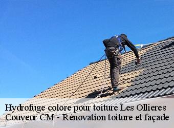 Hydrofuge colore pour toiture les-ollieres-74370 Couveur CM - Rénovation toiture et façade