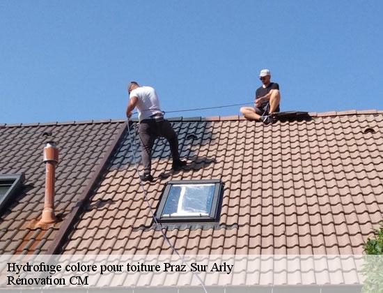 Hydrofuge colore pour toiture praz-sur-arly-74120 Rénovation CM