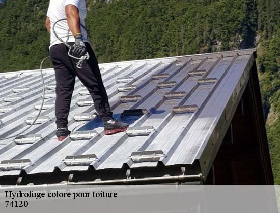 Hydrofuge colore pour toiture praz-sur-arly-74120 Rénovation CM