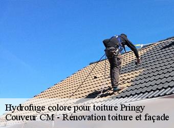 Hydrofuge colore pour toiture pringy-74370 Couveur CM - Rénovation toiture et façade