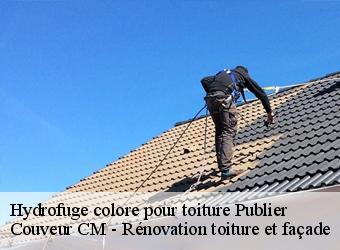 Hydrofuge colore pour toiture publier-74500 Couveur CM - Rénovation toiture et façade