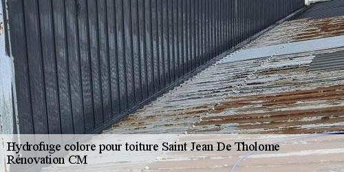 Hydrofuge colore pour toiture  saint-jean-de-tholome-74250 Rénovation CM