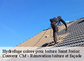 Hydrofuge colore pour toiture saint-jorioz-74410 Couveur CM - Rénovation toiture et façade