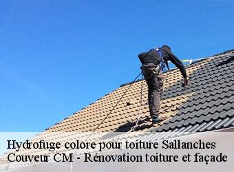 Hydrofuge colore pour toiture sallanches-74700 Couveur CM - Rénovation toiture et façade