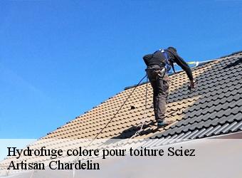 Hydrofuge colore pour toiture  sciez-74140 Artisan Chardelin
