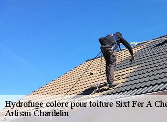 Hydrofuge colore pour toiture  sixt-fer-a-cheval-74740 Artisan Chardelin