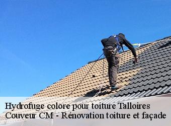 Hydrofuge colore pour toiture talloires-74290 Couveur CM - Rénovation toiture et façade