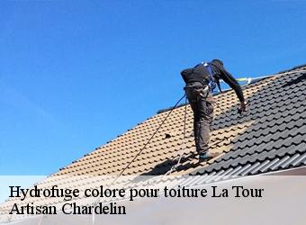 Hydrofuge colore pour toiture  la-tour-74250 Artisan Chardelin