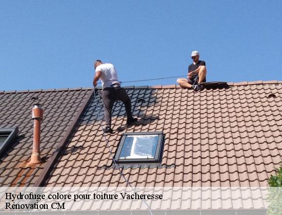 Hydrofuge colore pour toiture  vacheresse-74360 Rénovation CM