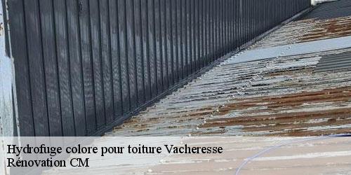 Hydrofuge colore pour toiture  vacheresse-74360 Rénovation CM