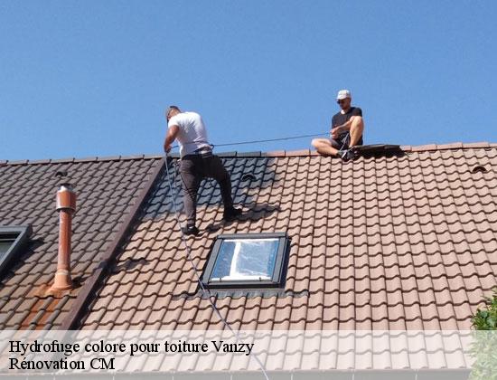 Hydrofuge colore pour toiture vanzy-74270 Rénovation CM
