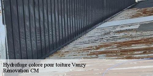 Hydrofuge colore pour toiture vanzy-74270 Rénovation CM
