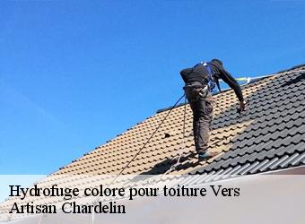 Hydrofuge colore pour toiture  vers-74160 Artisan Chardelin
