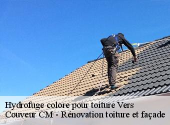 Hydrofuge colore pour toiture vers-74160 Couveur CM - Rénovation toiture et façade