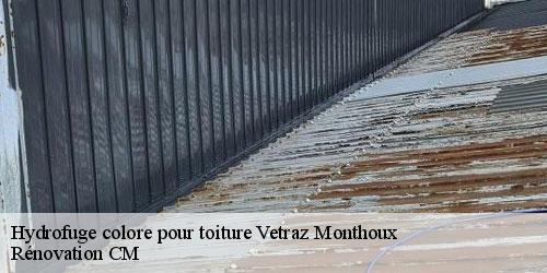 Hydrofuge colore pour toiture vetraz-monthoux-74100 Rénovation CM