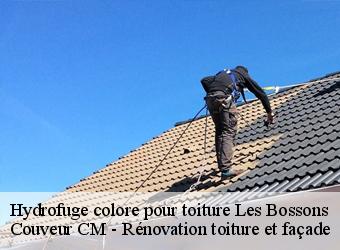 Hydrofuge colore pour toiture les-bossons-74400 Couveur CM - Rénovation toiture et façade