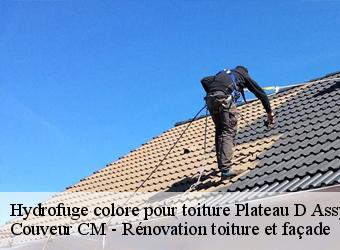 Hydrofuge colore pour toiture plateau-d-assy-74480 Couveur CM - Rénovation toiture et façade