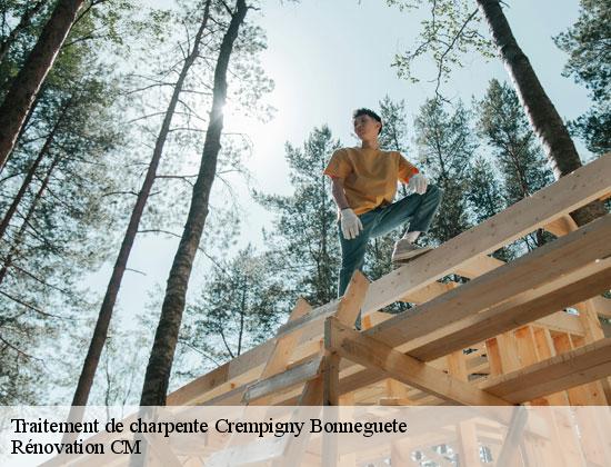 Traitement de charpente  crempigny-bonneguete-74150 Rénovation CM