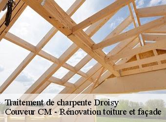Traitement de charpente droisy-74270 Couveur CM - Rénovation toiture et façade