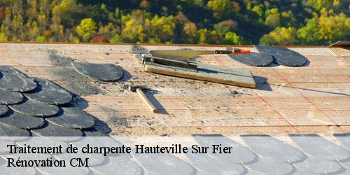 Traitement de charpente  hauteville-sur-fier-74150 Rénovation CM
