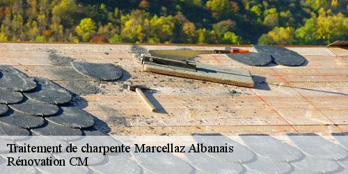 Traitement de charpente marcellaz-albanais-74150 Rénovation CM
