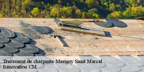 Traitement de charpente  marigny-saint-marcel-74150 Rénovation CM