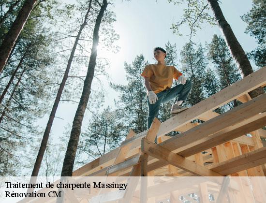 Traitement de charpente massingy-74150 Rénovation CM