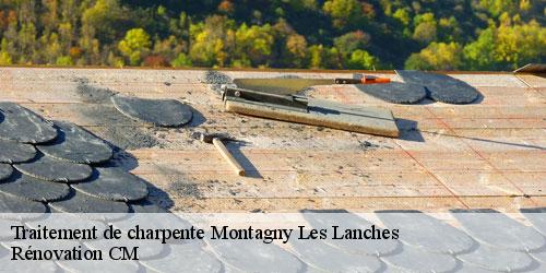 Traitement de charpente montagny-les-lanches-74600 Rénovation CM