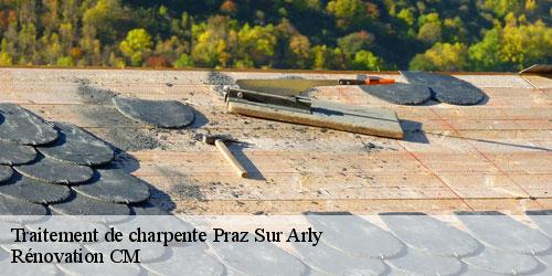 Traitement de charpente praz-sur-arly-74120 Rénovation CM