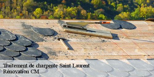 Traitement de charpente saint-laurent-74800 Rénovation CM