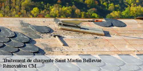 Traitement de charpente  saint-martin-bellevue-74370 Rénovation CM