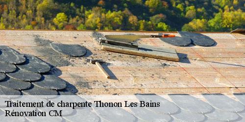 Traitement de charpente thonon-les-bains-74200 Rénovation CM