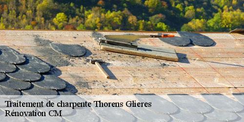 Traitement de charpente thorens-glieres-74570 Rénovation CM