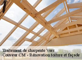 Traitement de charpente vers-74160 Couveur CM - Rénovation toiture et façade