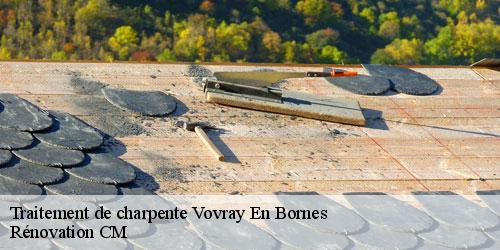 Traitement de charpente vovray-en-bornes-74350 Rénovation CM