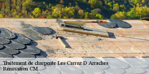 Traitement de charpente les-carroz-d-arraches-74300 Rénovation CM