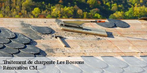 Traitement de charpente les-bossons-74400 Rénovation CM