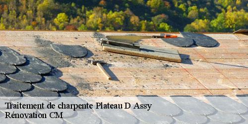 Traitement de charpente  plateau-d-assy-74480 Rénovation CM