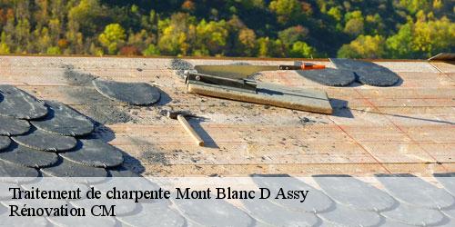 Traitement de charpente mont-blanc-d-assy-74480 Rénovation CM