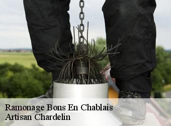 Ramonage  bons-en-chablais-74890 Artisan Chardelin