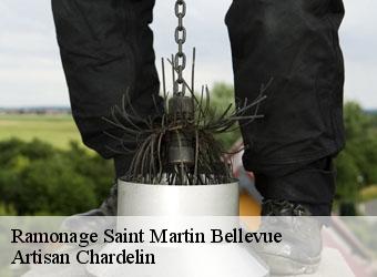 Ramonage  saint-martin-bellevue-74370 Artisan Chardelin