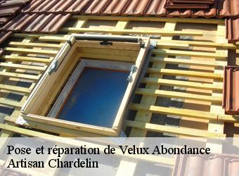 Pose et réparation de Velux  abondance-74360 Artisan Chardelin