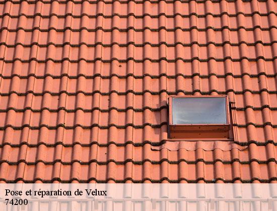 Pose et réparation de Velux  allinges-74200 Rénovation CM