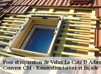 Pose et réparation de Velux la-cote-d-arbroz-74110 Couveur CM - Rénovation toiture et façade