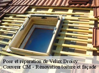 Pose et réparation de Velux droisy-74270 Couveur CM - Rénovation toiture et façade