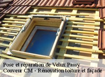 Pose et réparation de Velux  passy-74190 Couveur CM - Rénovation toiture et façade
