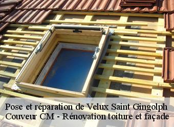 Pose et réparation de Velux saint-gingolph-74500 Couveur CM - Rénovation toiture et façade